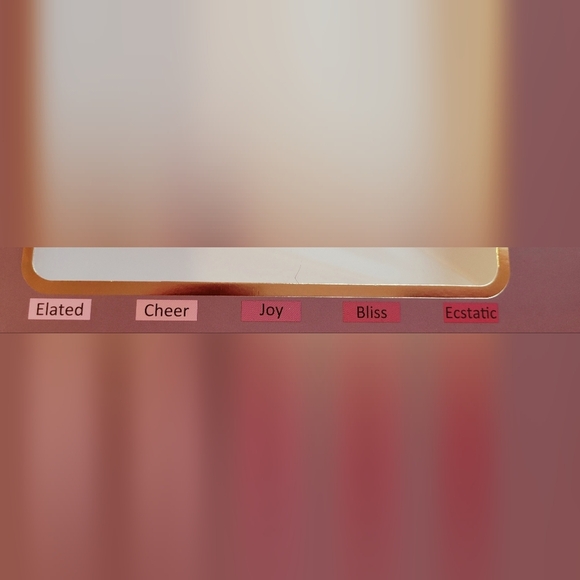 NWOAB SONA Lip Gloss - $10 FOR ALL (5 REMAINING) - Picture 5 of 7